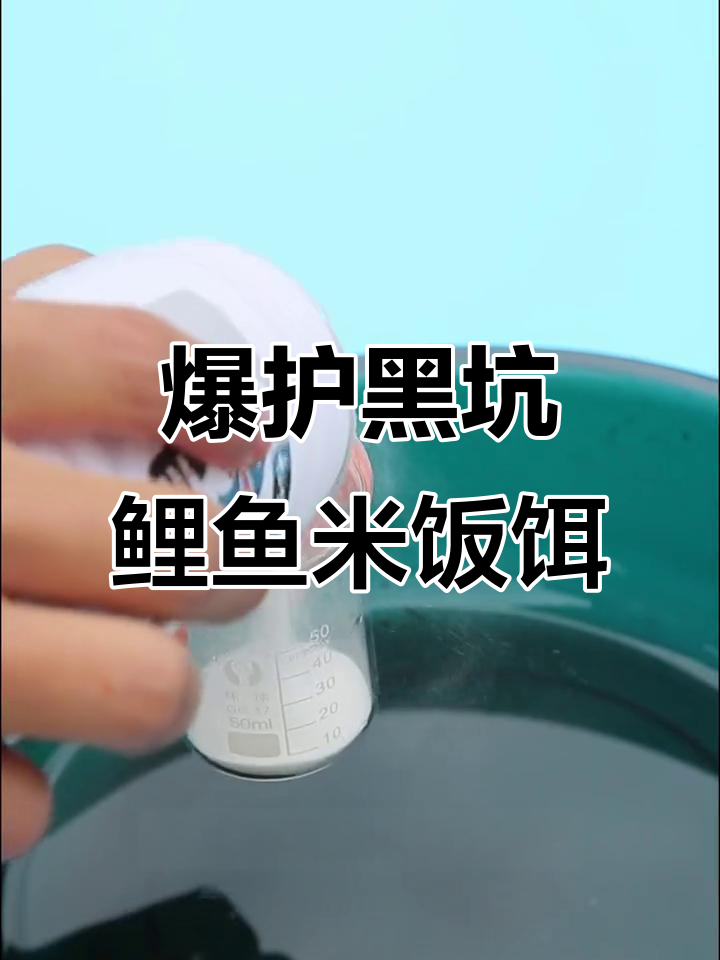 米饭制作钓鱼饵料(如何制作米饭钓鱼饵料)