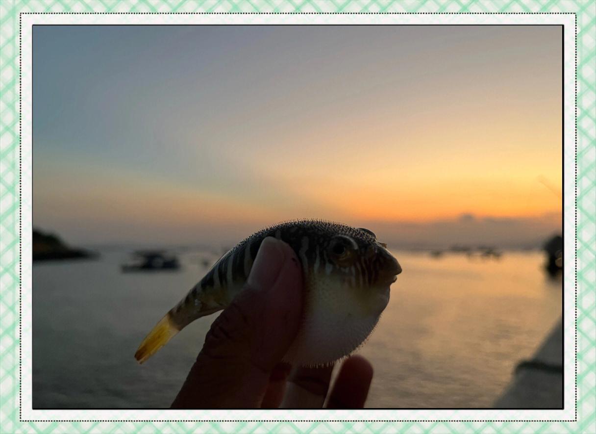 福州海钓论坛(福州海钓鱻餐厅)