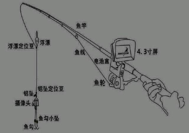 冬季怎样锚鱼技巧(冬天用锚钩锚鱼视频)