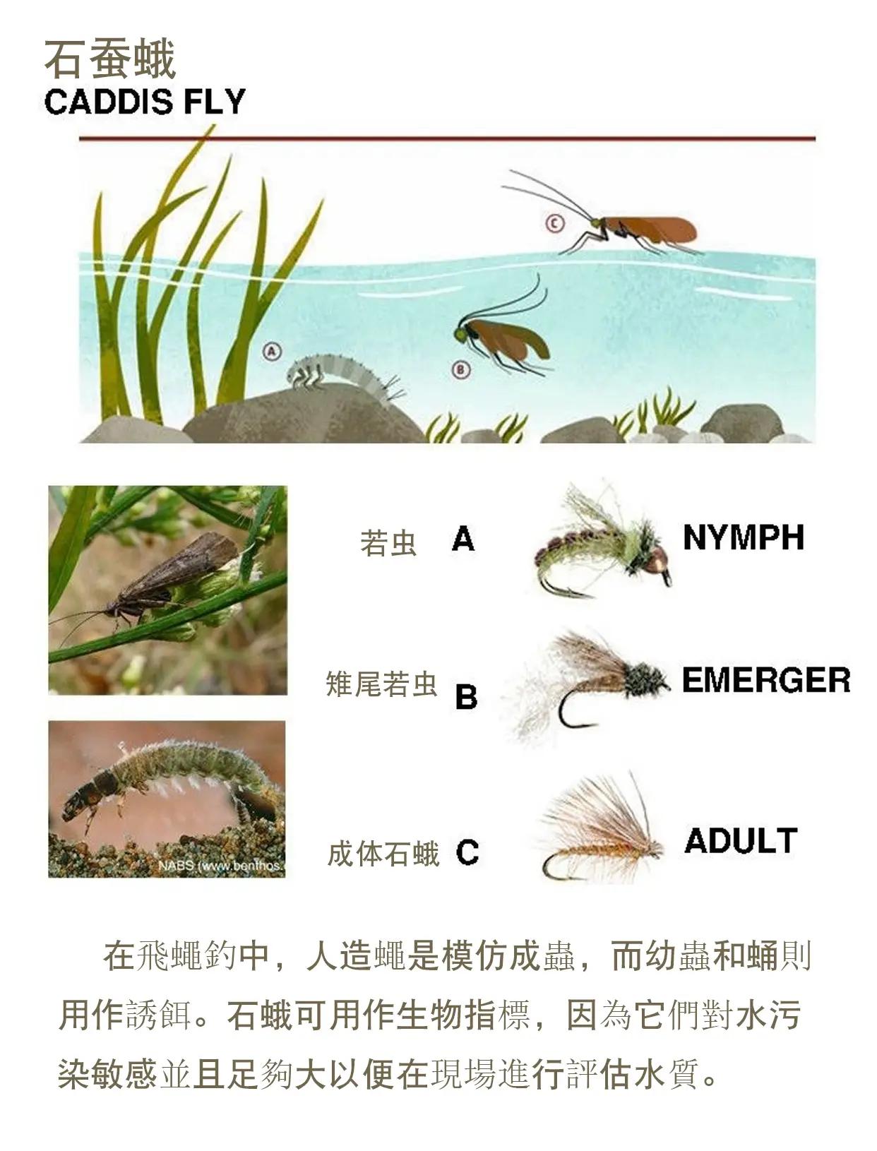 饵料和水质(饵料配水是质量还是体积)