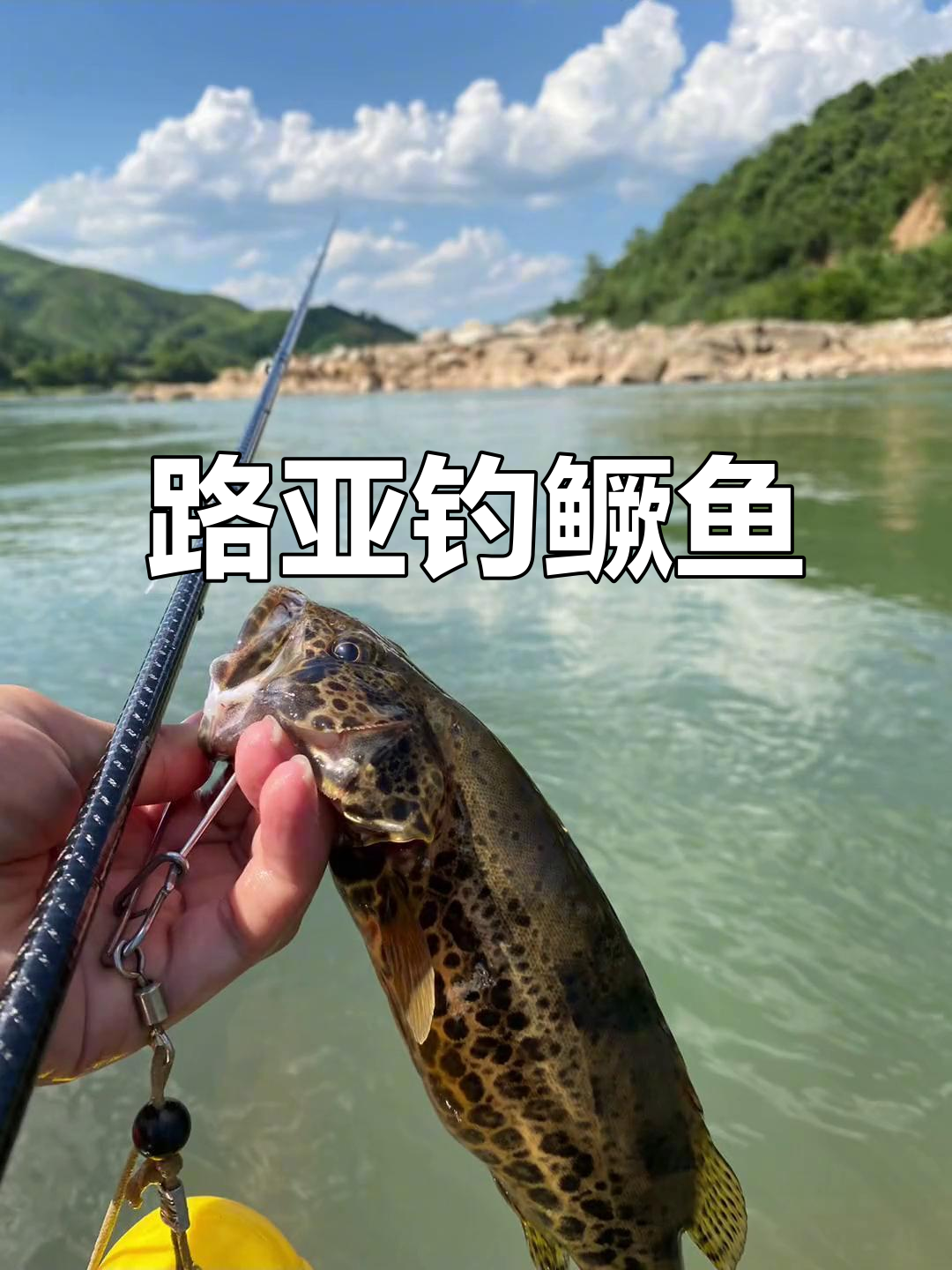 临沂7月路亚(山东临沂路亚)