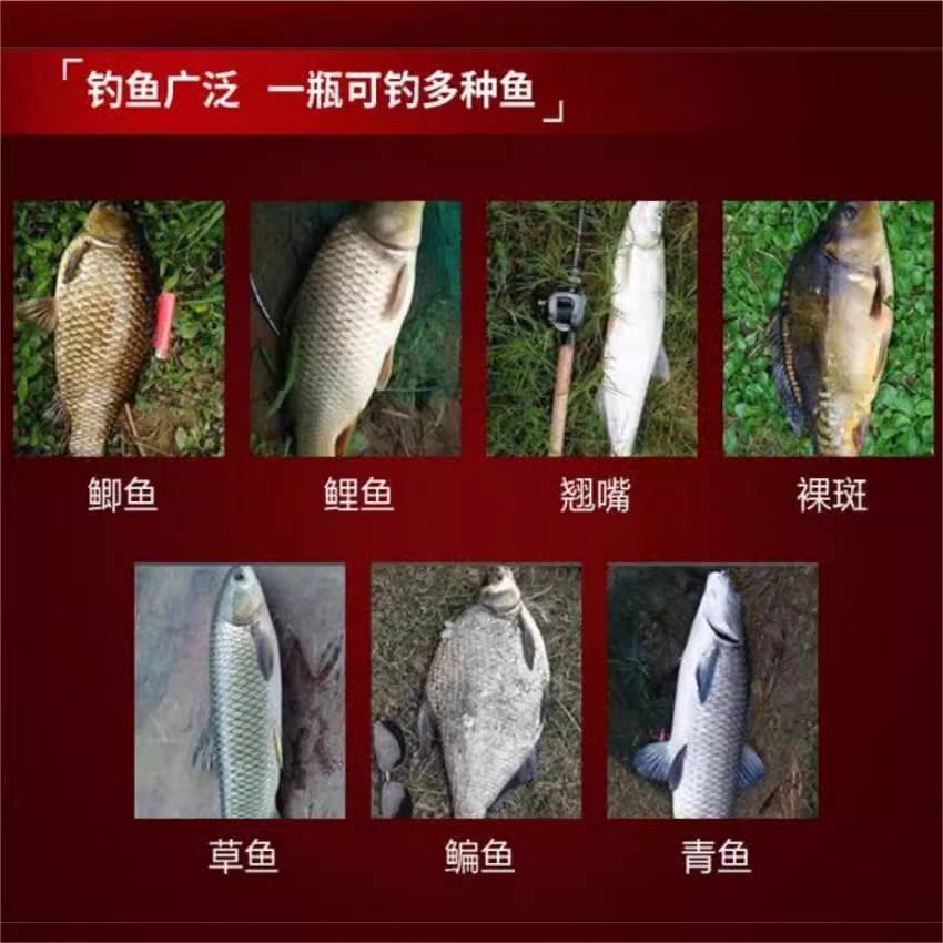 避杂鱼饵料(避杂鱼小药)