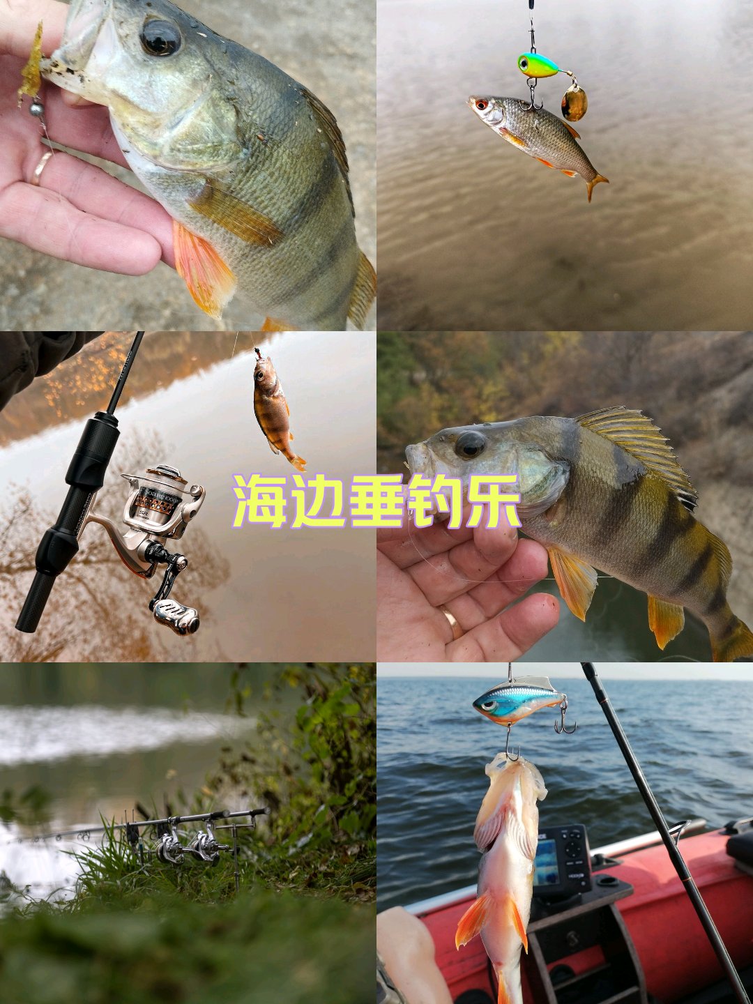 海钓浮鱼(海钓钓浮能钓什么鱼)