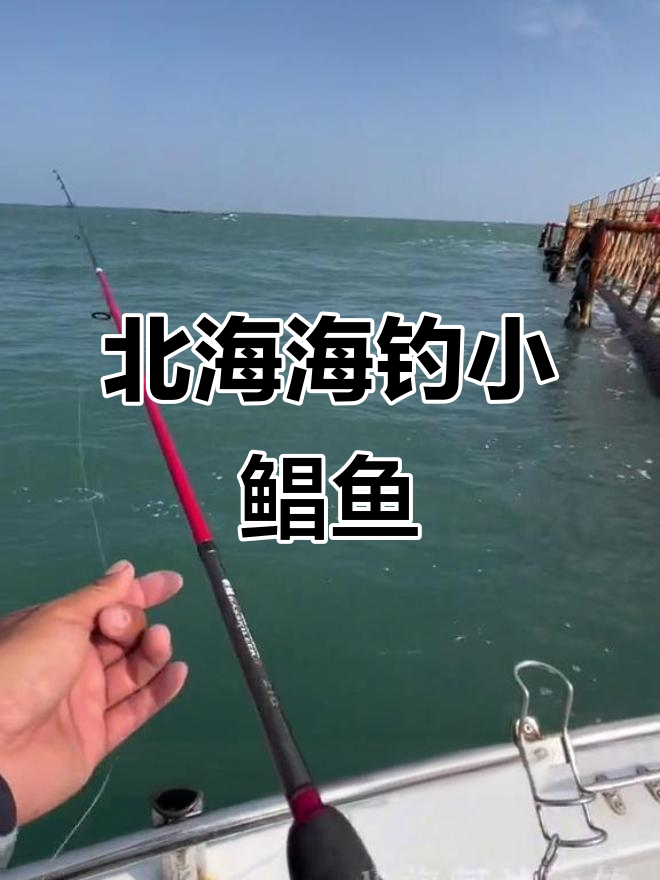 北海钓鱼合法吗(北海钓鱼地方有哪些)