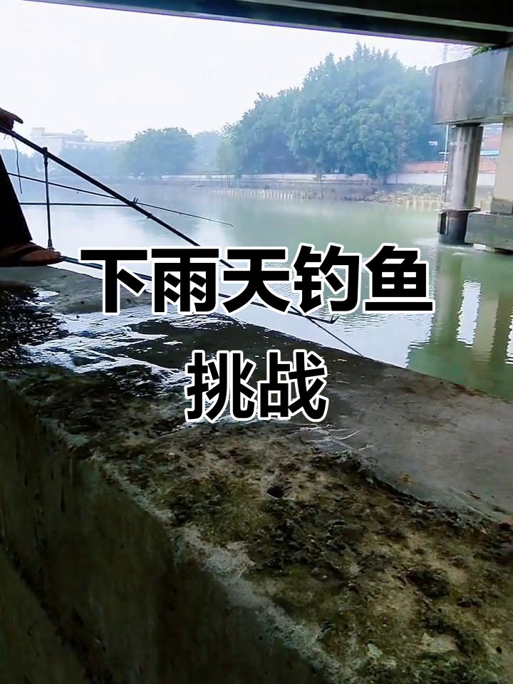 雨天野外钓鱼技巧(雨天野钓经验技巧)