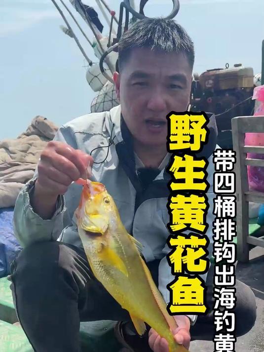 海钓黄鱼方法(海钓小黄鱼)
