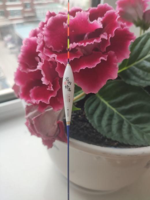 浮漂漂尾漆技巧(浮漂上尾漆怎么才能更光滑)