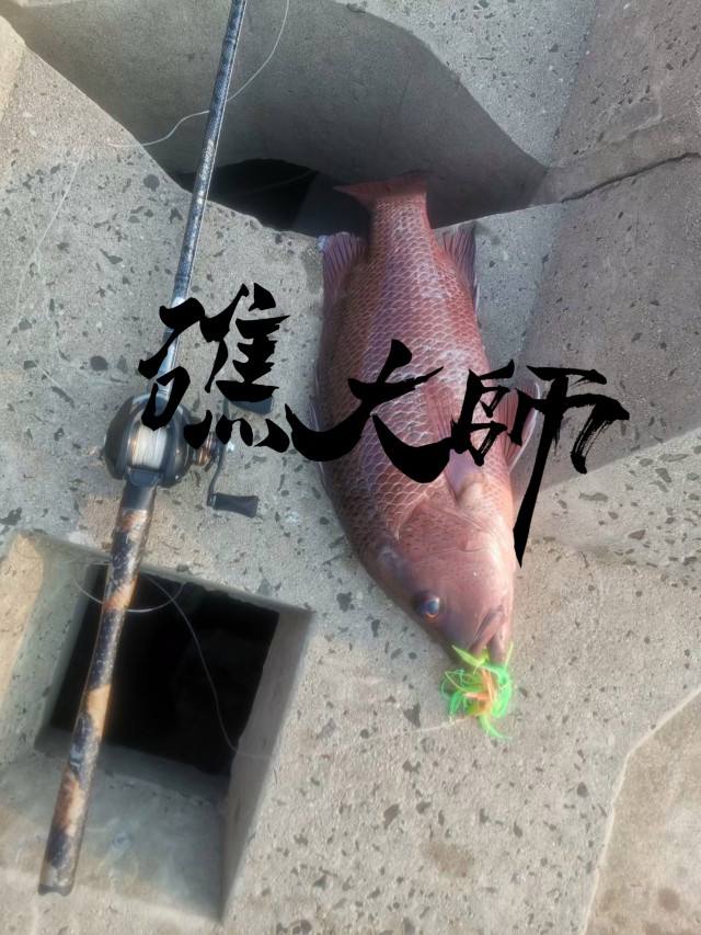 海钓路亚黑鲷(海钓路亚黑鲷怎么钓)