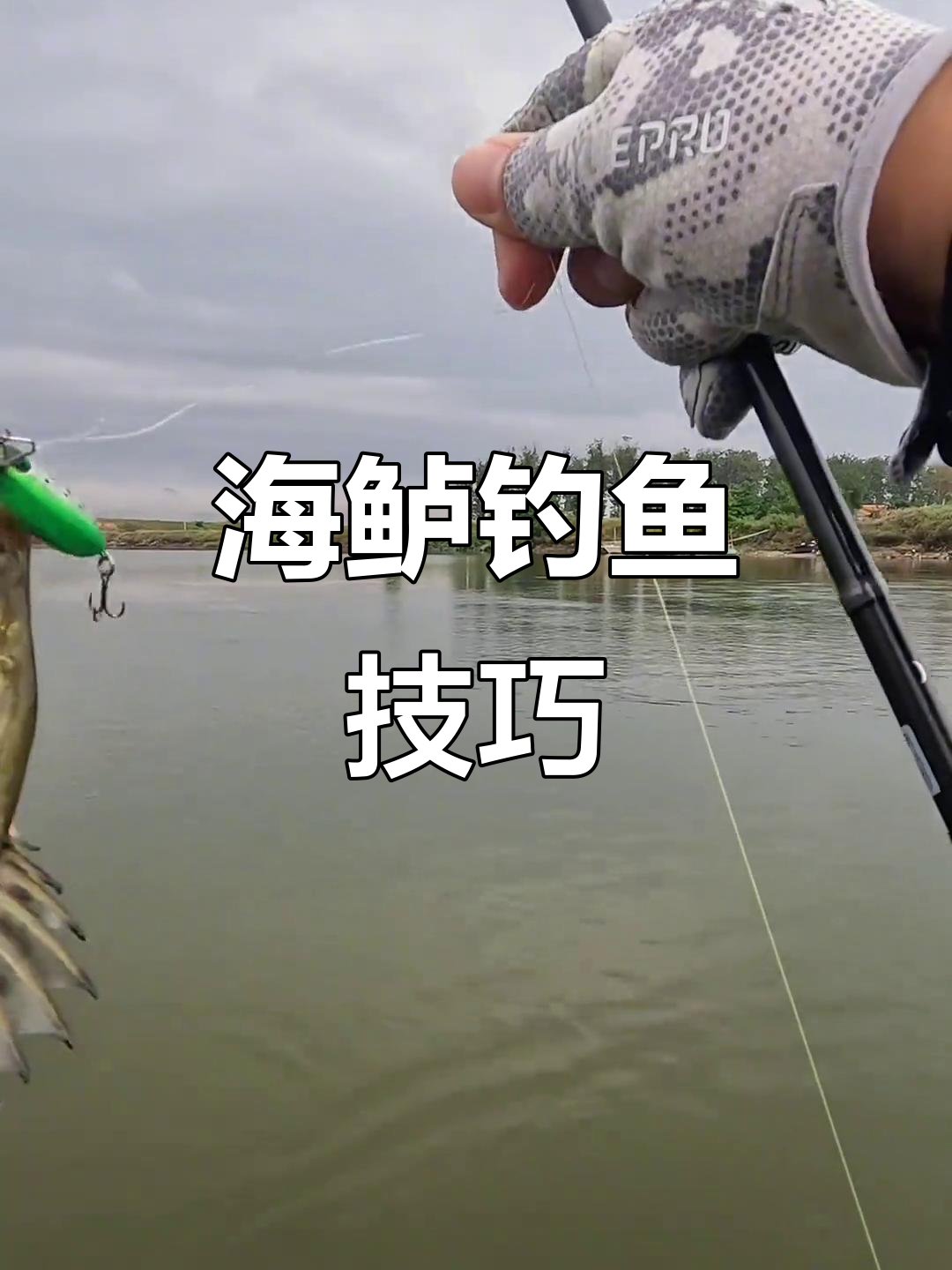 围河钓海鲈技巧(围河钓海鲈技巧和方法)
