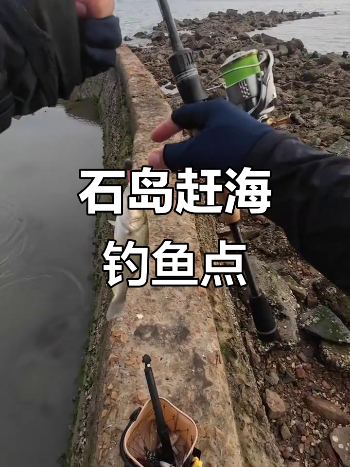 围河钓海鲈技巧(围河钓海鲈技巧和方法)