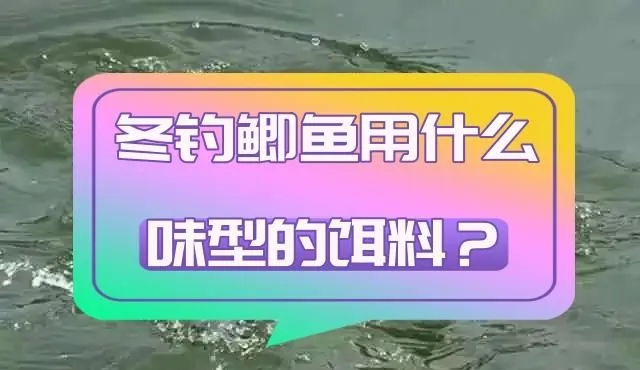 何为基础饵料(什么是基础饵)