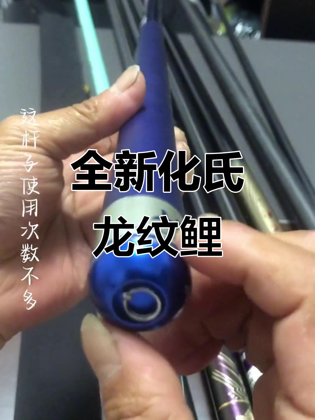 龙纹鲤渔具加点(化氏龙纹鲤一代测评)