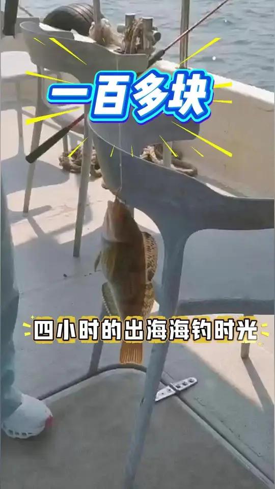 出海钓鱼划算吗(出海钓鱼划算吗现在)