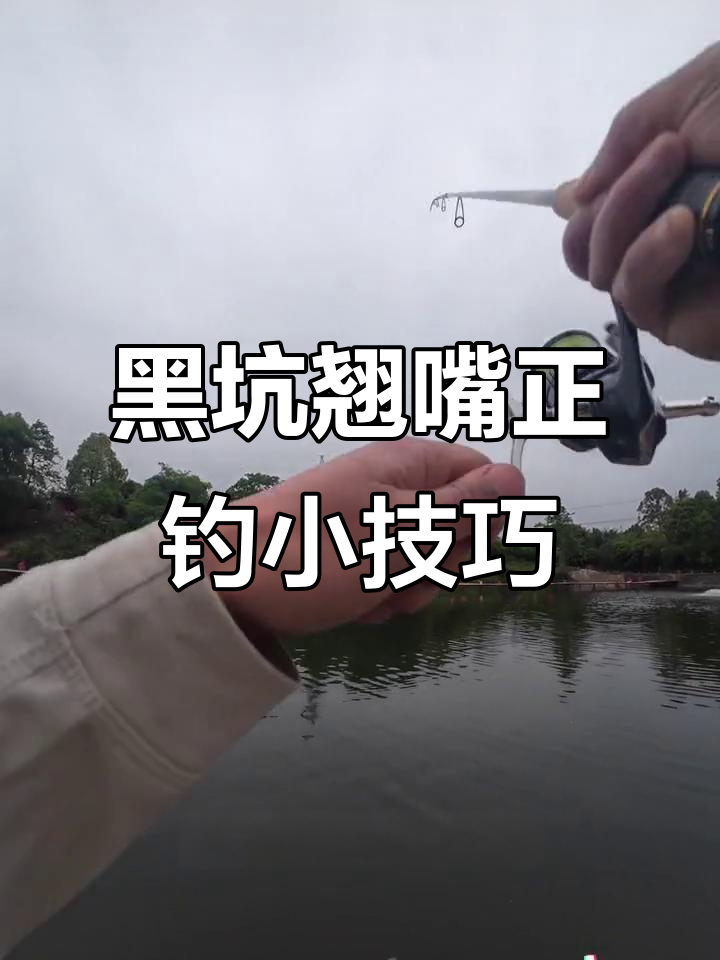 水库钓来翘嘴的技巧(水库钓来翘嘴的技巧视频)