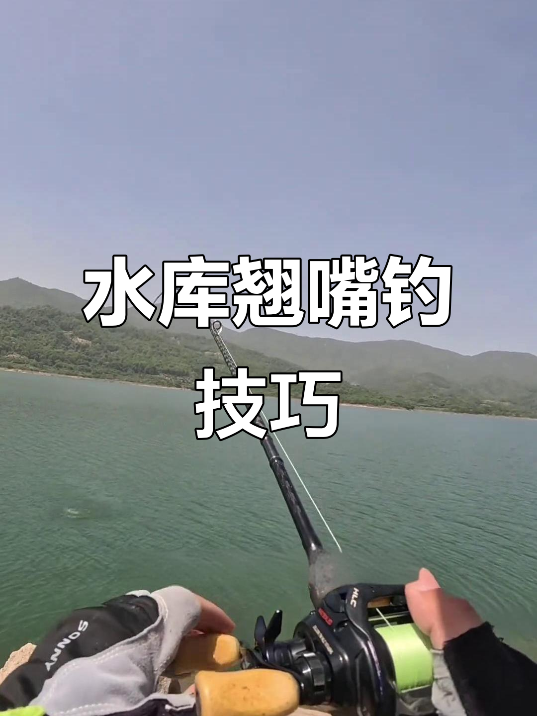 水库钓来翘嘴的技巧(水库钓来翘嘴的技巧视频)