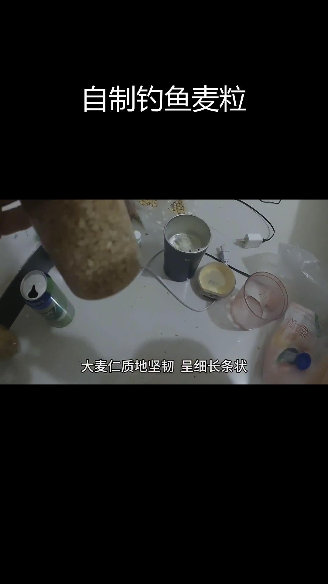 冬季麦粒不如饵料(冬季用小麦粒钓鱼行吗?)