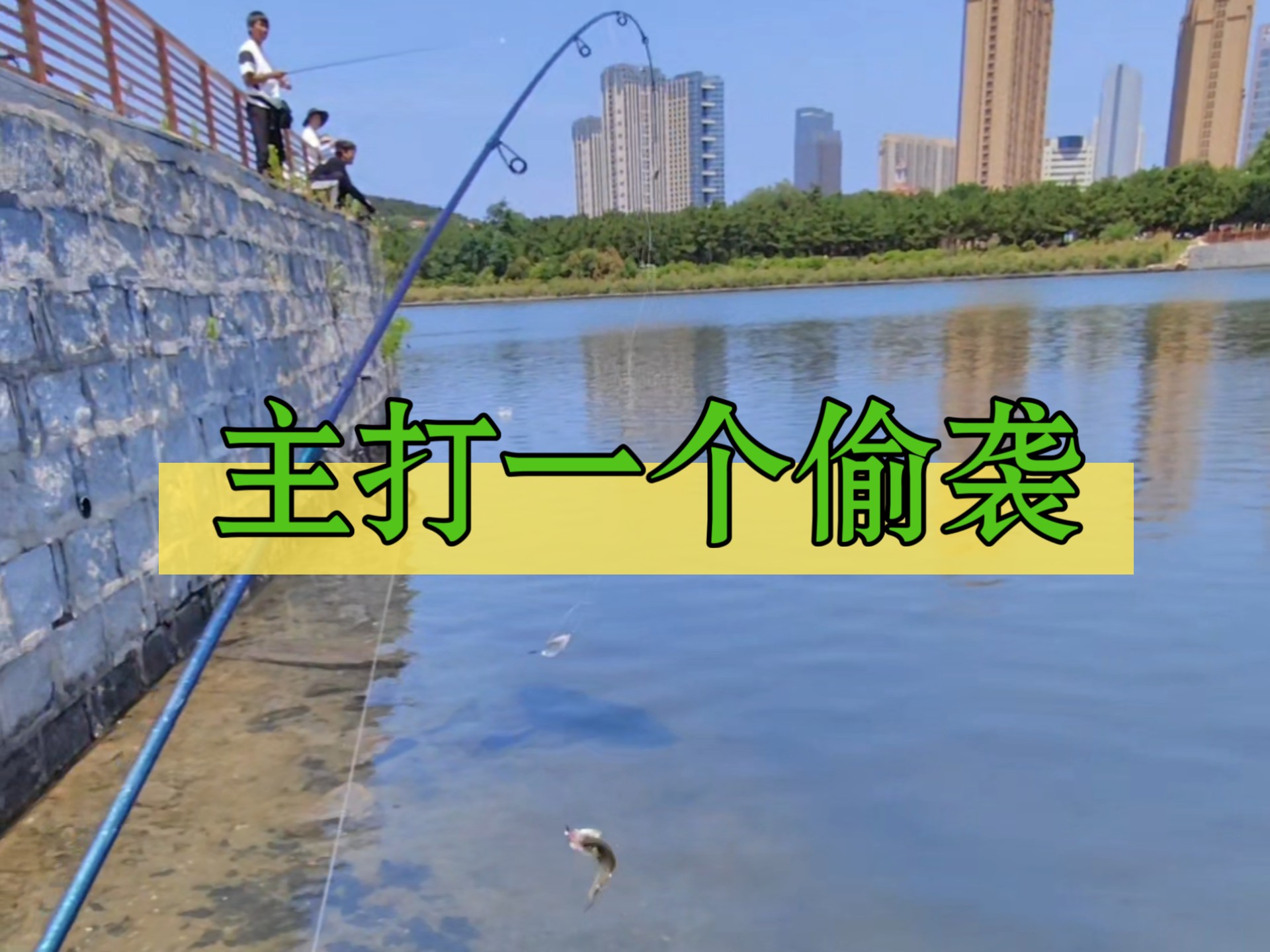 路亚枪杆海钓(路亚枪柄杆全程教学)