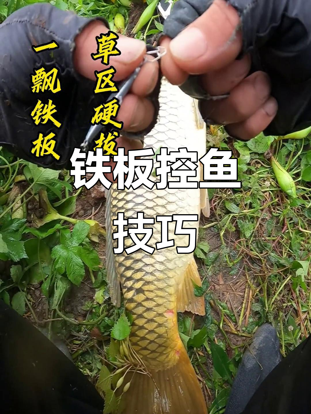 抽铁板小技巧(抽铁板视频教程)