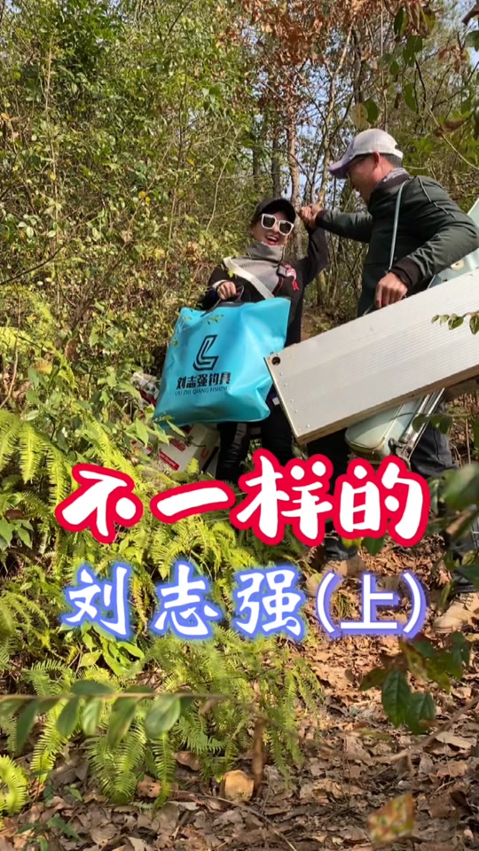 四海钓鱼雅文(四海钓鱼推荐鱼竿)