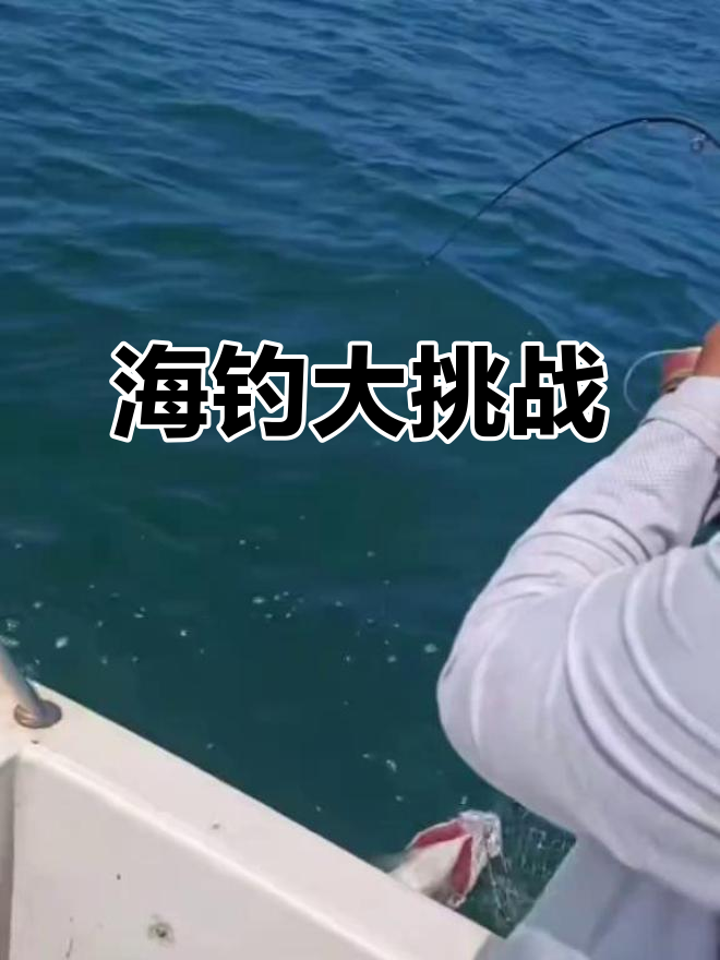 海钓贴图(海钓鱼竿图片)