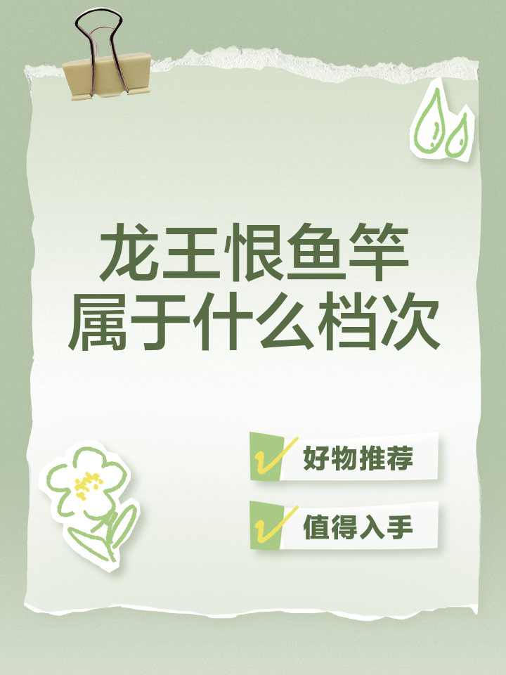 龙王恨你恨渔具加盟(龙王恨渔具店加盟费多少)