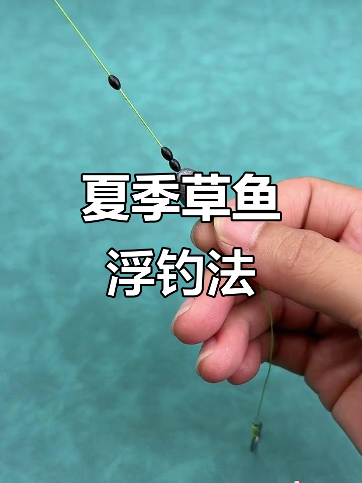 夏天晚上钓草鱼技巧(夏季钓草鱼白天好还是夜钓草鱼好)