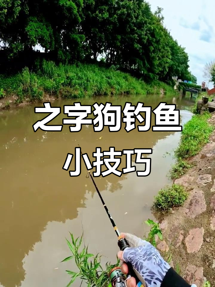 冬季钓小白条技巧(冬季钓小白条技巧图解)
