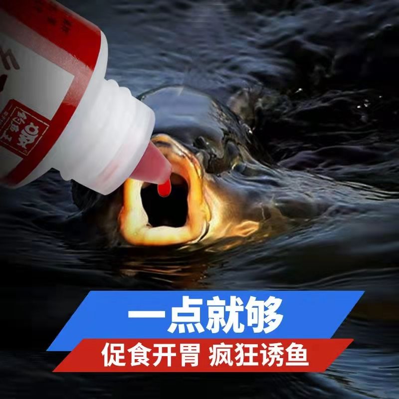 鱼坑钓鱼用什么饵料(鱼坑垂钓)