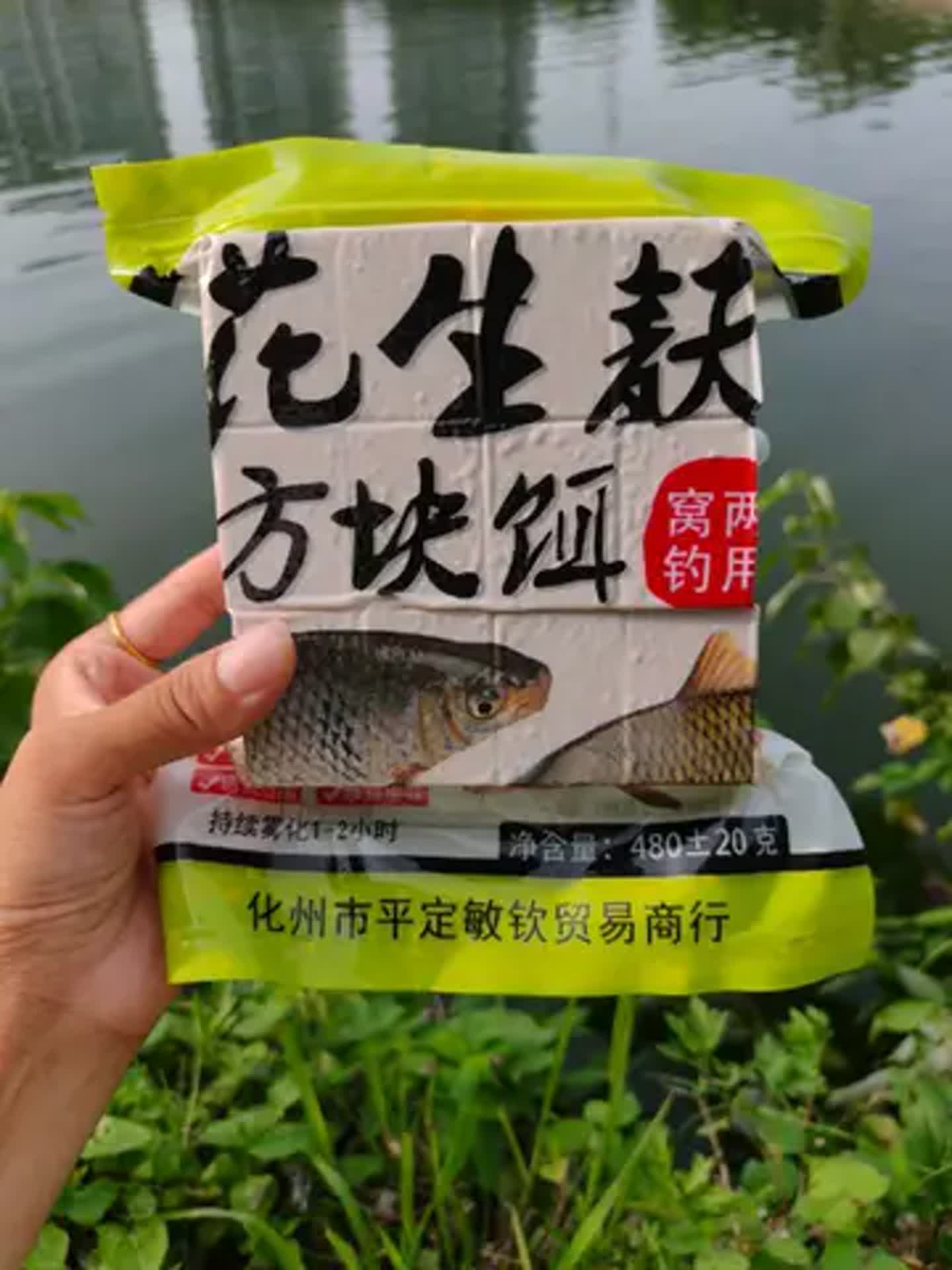 海竿抛鲤饵料配方菜并(抛竿钓海鱼)