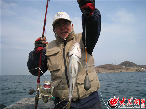 荣成西吓口海钓(荣成海钓攻略)