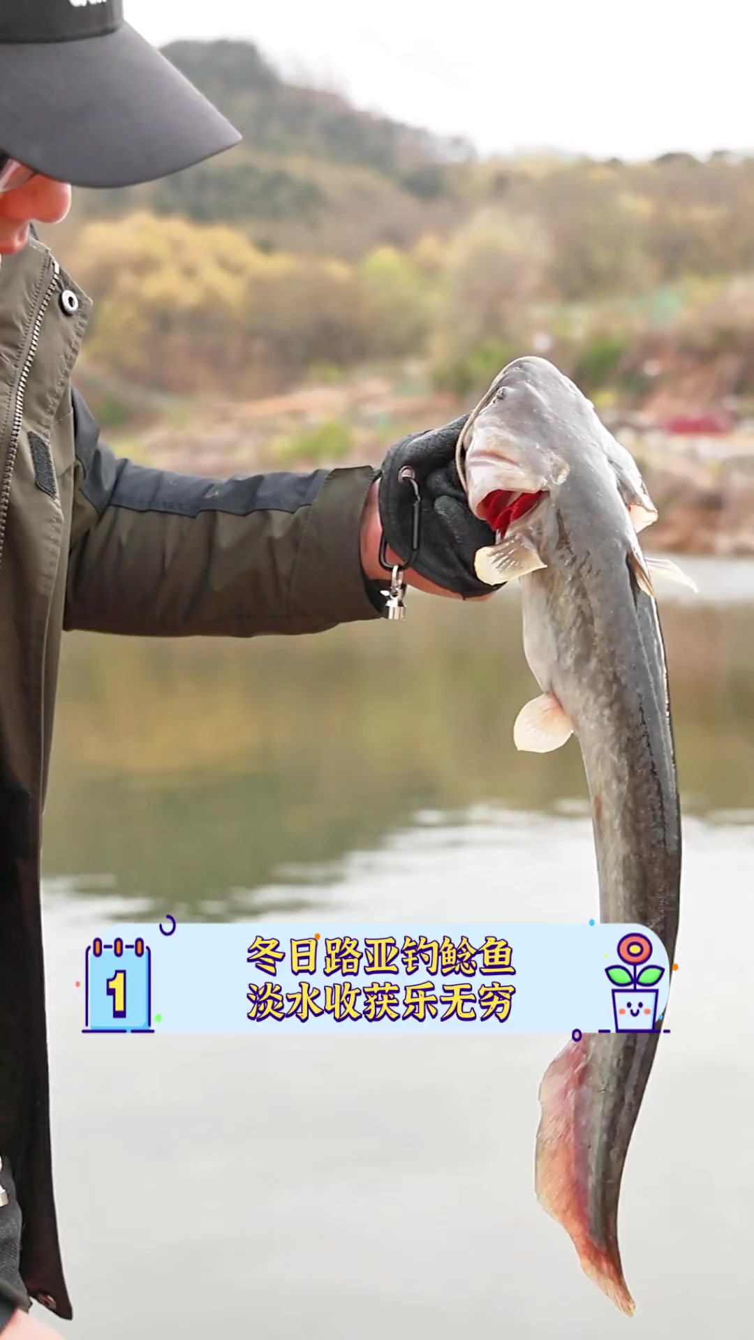路亚钓鲇鱼技巧(路亚钓鲶鱼的最佳方法)