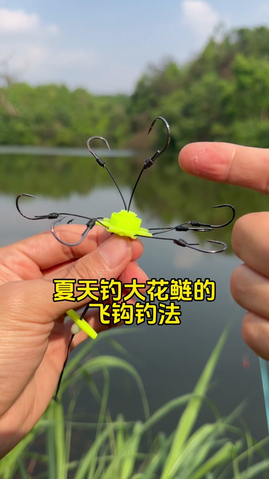 飞钩钓鱼技巧(飞钩钓鱼技巧图解)