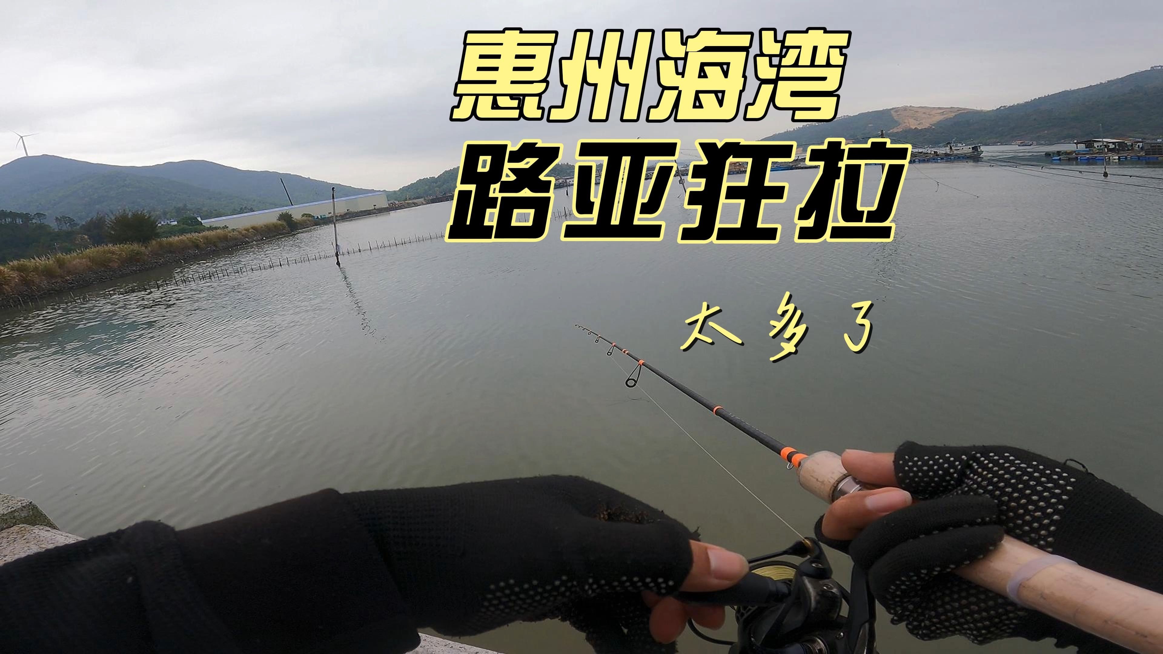 南湾水库路亚(南湾水库属于什么单位)