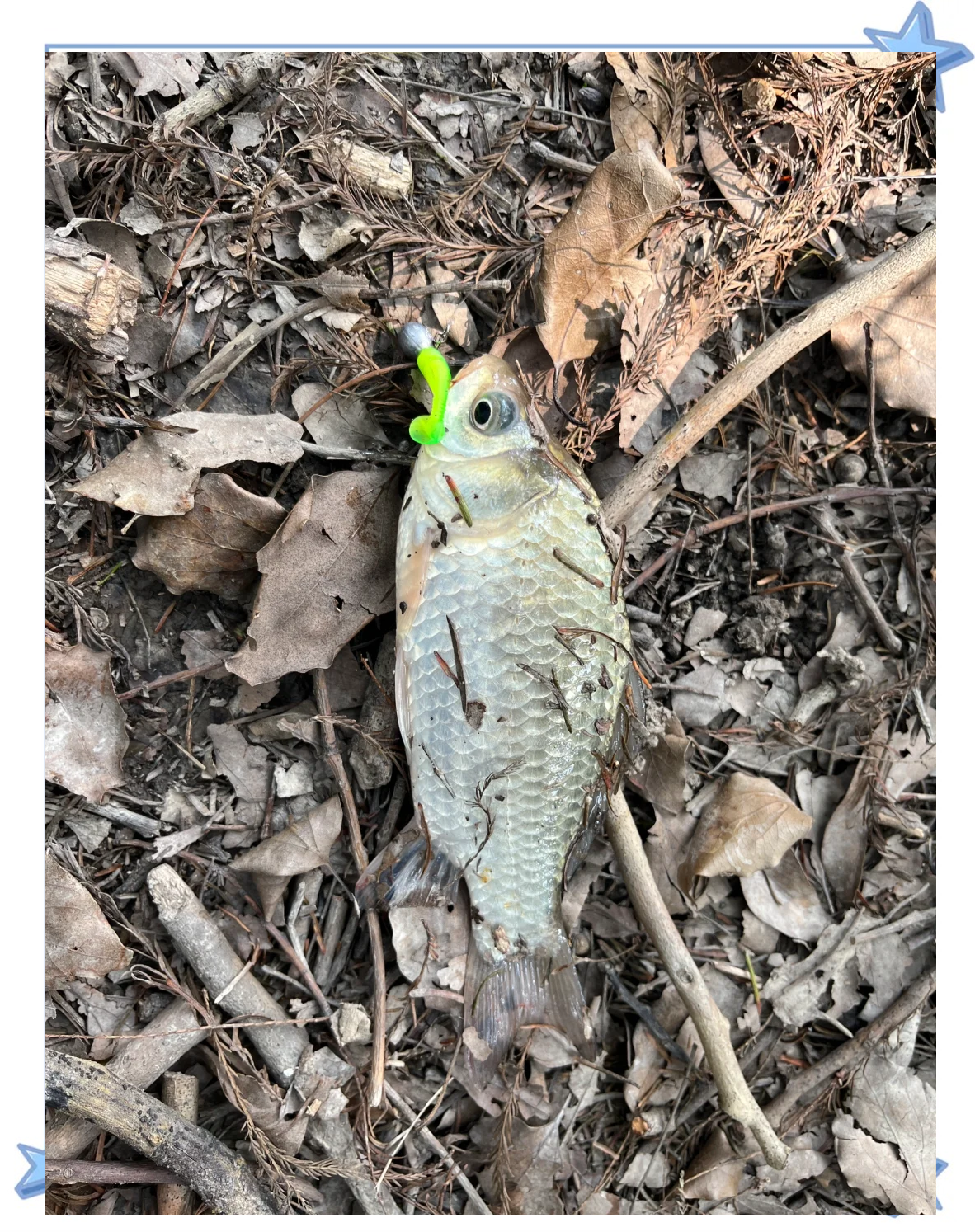 建德哪里钓路亚(路亚装备详细清单)