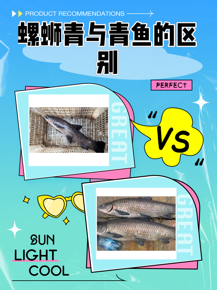 路亚螺蛳青(钓螺蛳青线组选择)