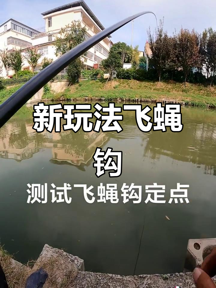 飞蝇抛投技巧(飞蝇抛投技巧和方法)