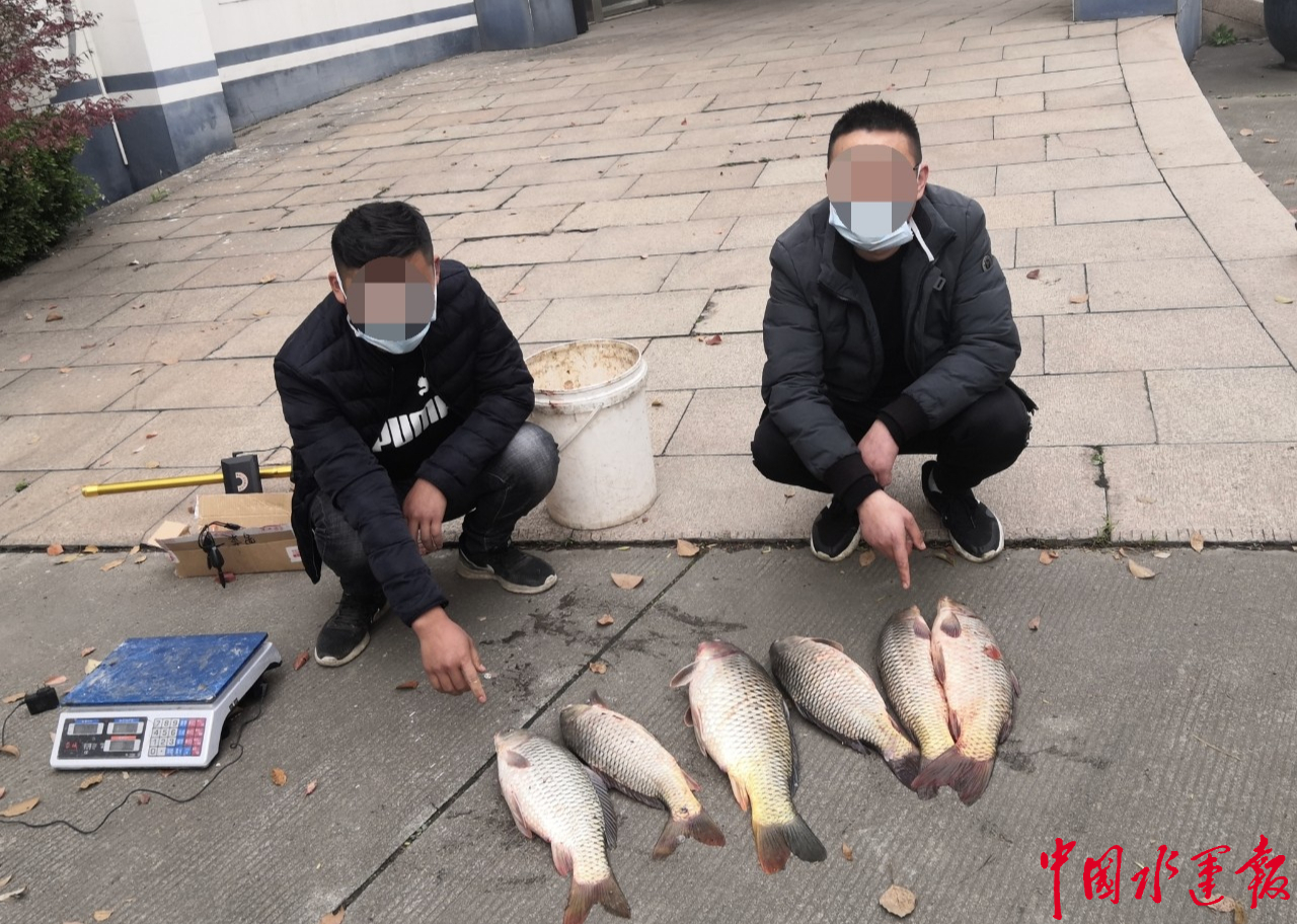 非法渔具鉴定单位(什么叫非法渔具)