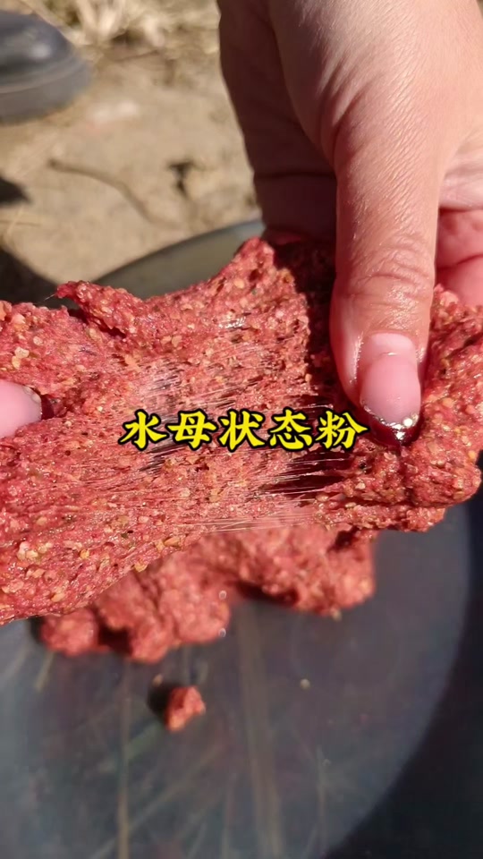 钓鱼拉丝技巧(拉丝鱼饵怎么挂钩)