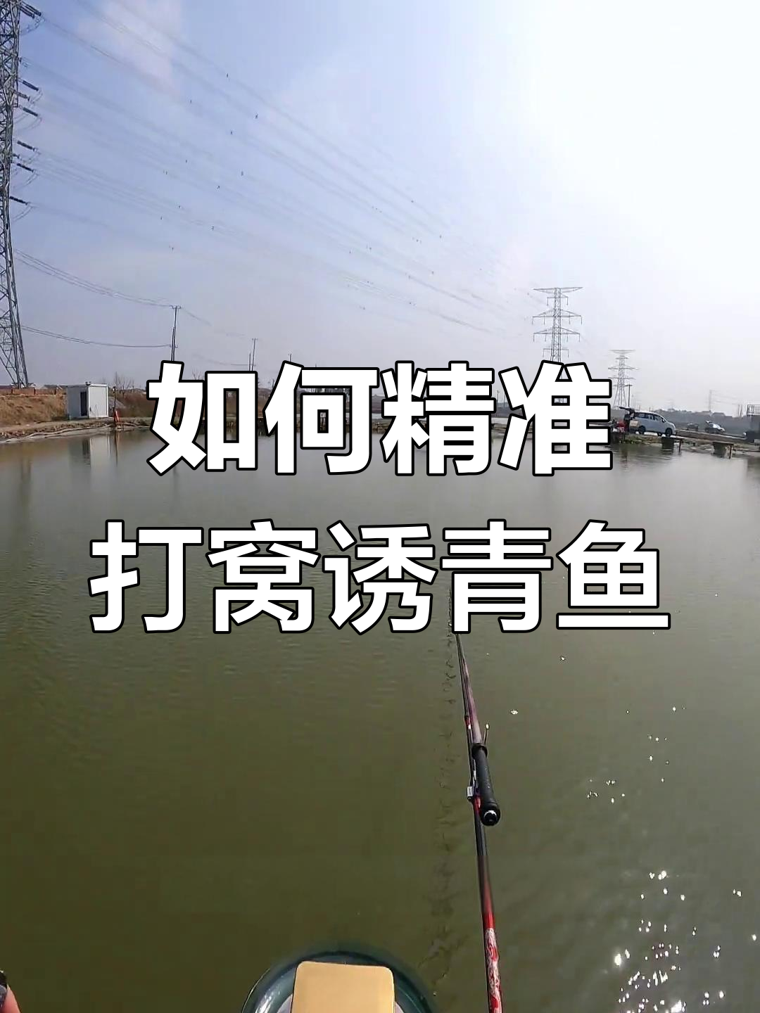 钓青鱼的方法和技巧(钓青鱼的钓法)