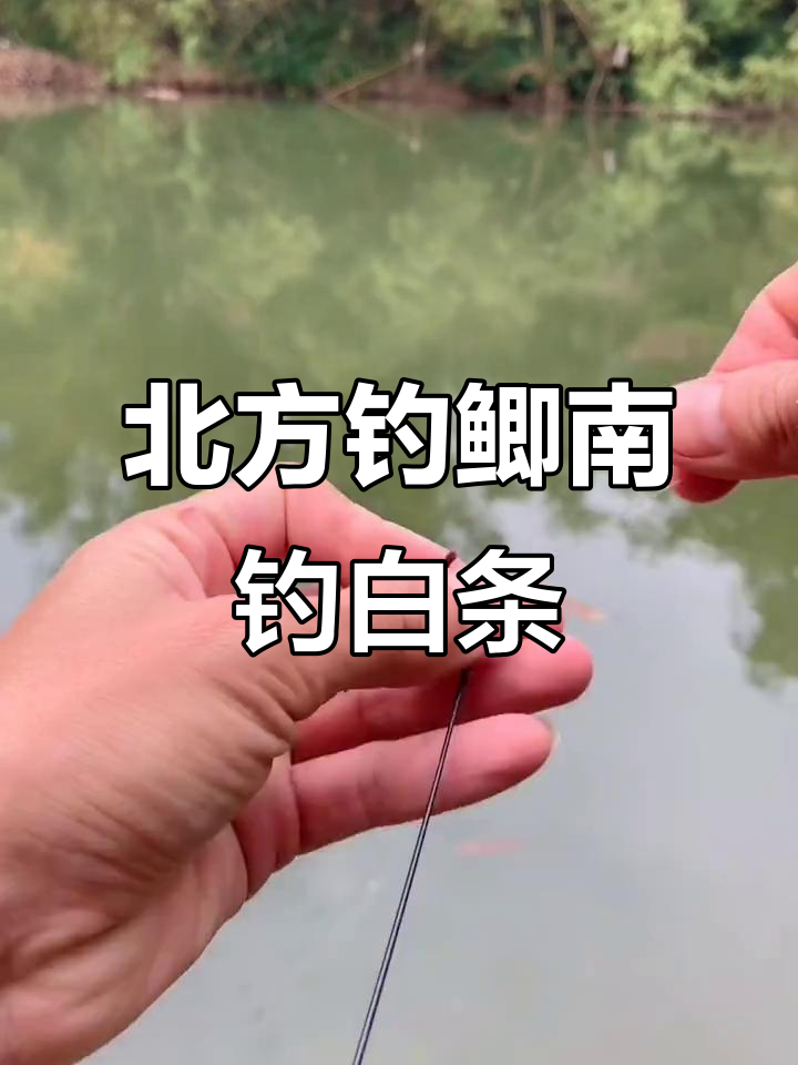 北方2月份钓鱼技巧(北方春天二月份钓鲤鱼)