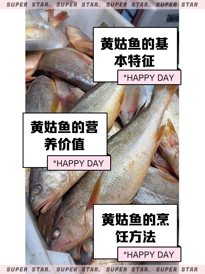 黄姑鱼海钓技巧(海钓黄姑鱼用什么鱼钩好)
