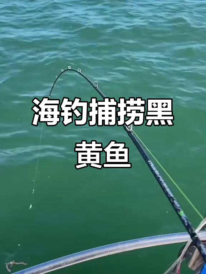 海钓小黑鱼海钓(钓黑鱼视频大全高清晰)
