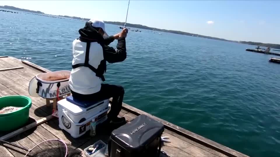 海钓筏杆团子钓法(海钓黑鲷十句口诀)