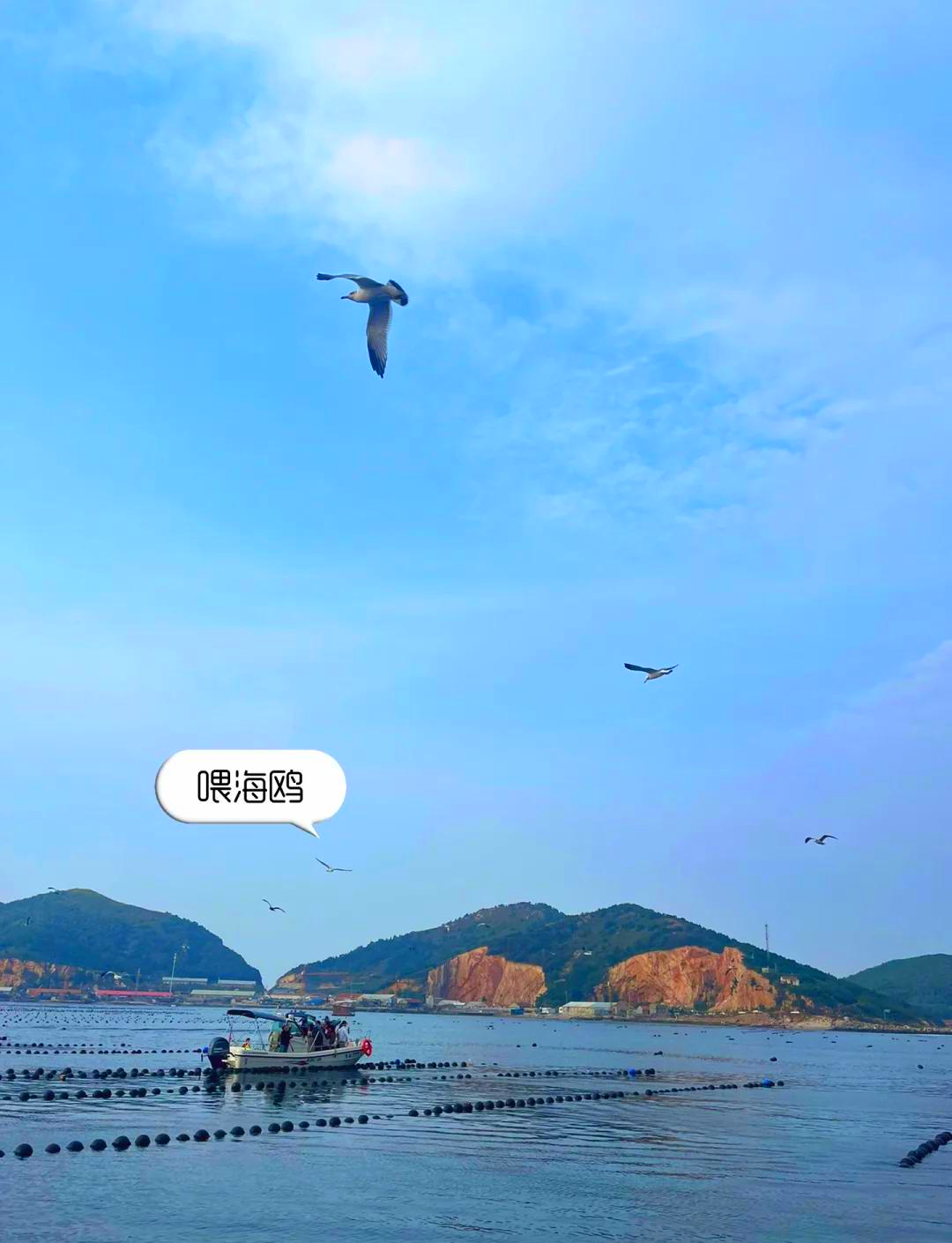 烟台蓬莱海钓俱乐部(烟台蓬莱海钓俱乐部地址)