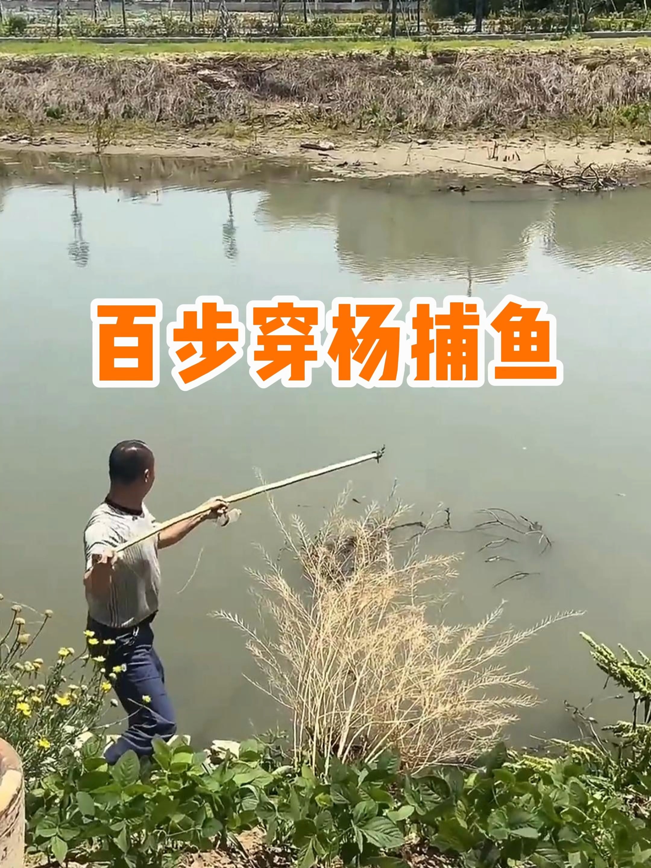 冬天叉鱼技巧(冬天能钓叉尾鱼吗)