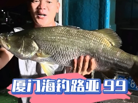 2017厦门海钓(厦门海边垂钓)