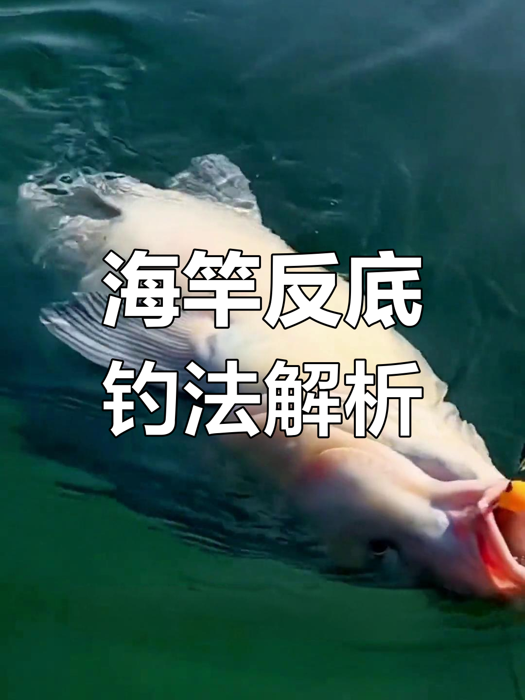 海竿的提竿技巧(海杆最佳提杆时机)