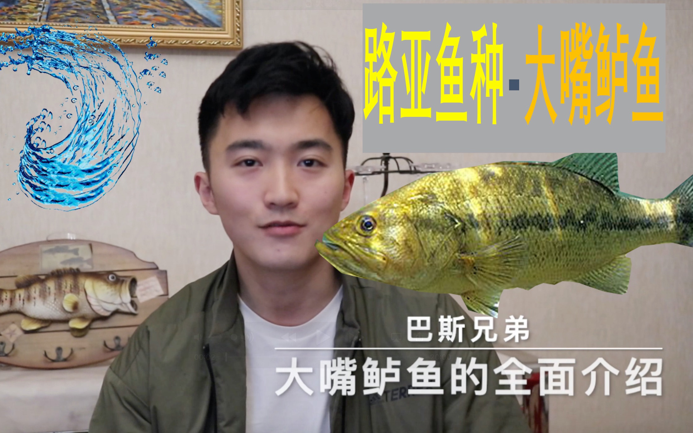 路亚产卵鲈鱼(路亚鲈鱼的方法和技巧)