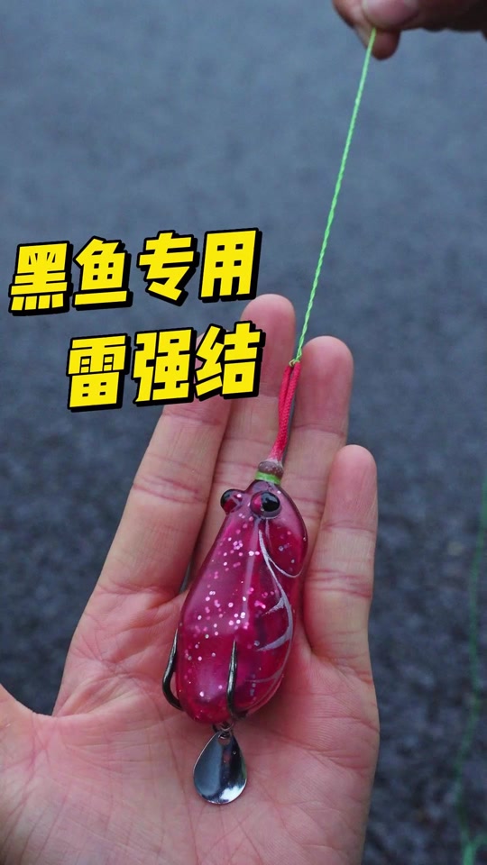手杆钓黑鱼技巧(手杆钓黑鱼方法)