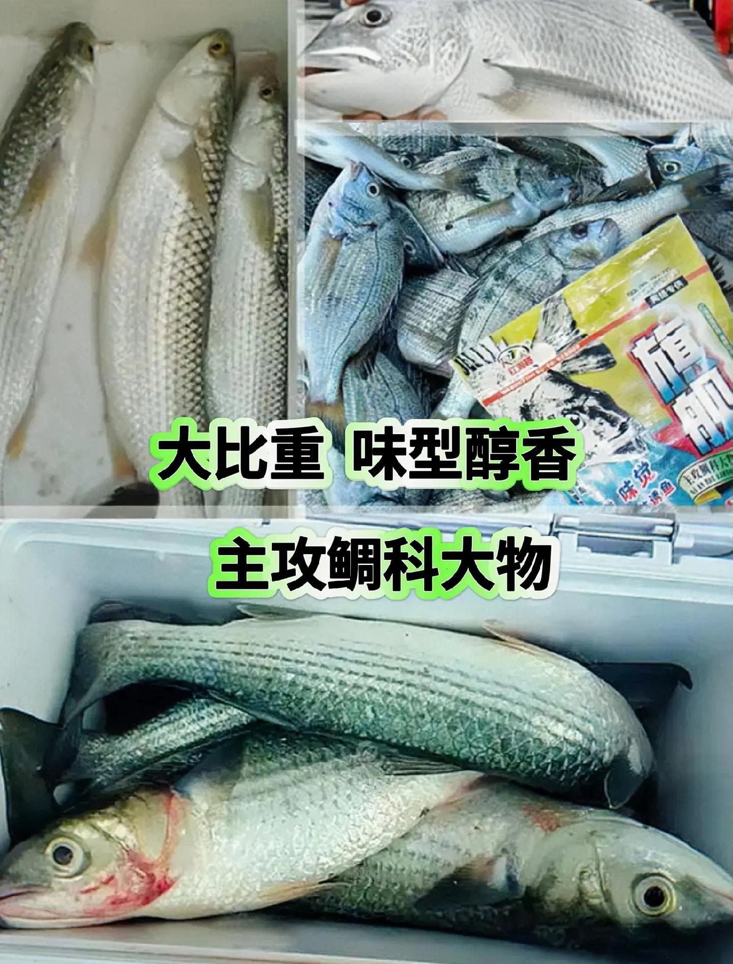 海钓窝料味道(海钓窝料味道怎么去除)